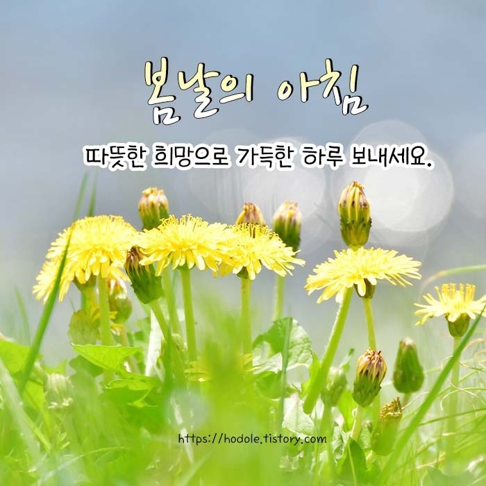 카월드 이미지