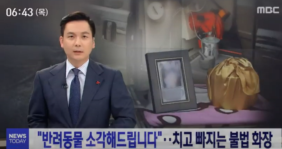 대전 강아지 장례 비용, 합법 시설 찾기 및 절차 안내 — 사진 3