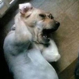 타봄 이미지