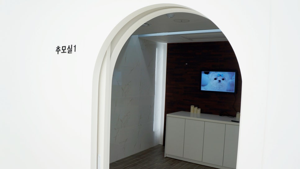 한국반려동물교육원 이미지
