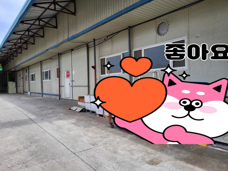 독도부동산 이미지