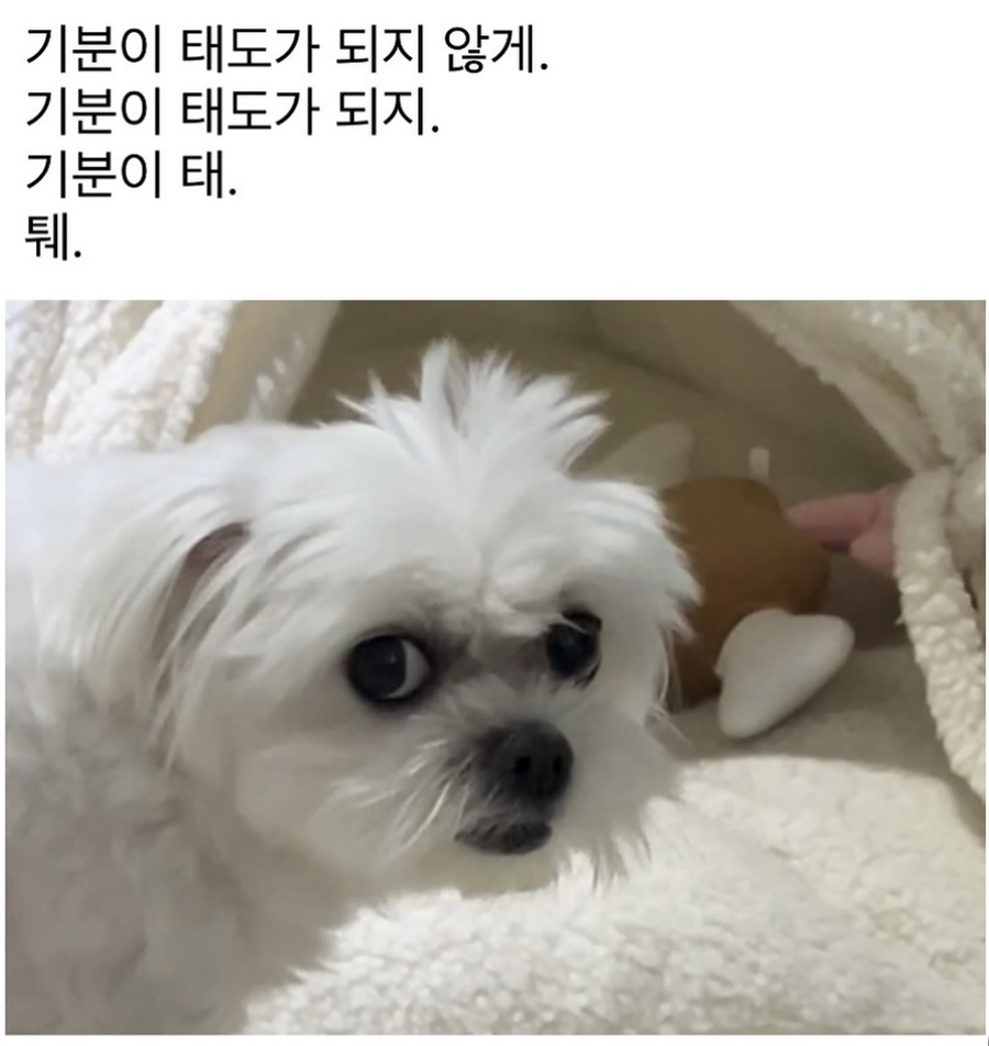 복 이미지