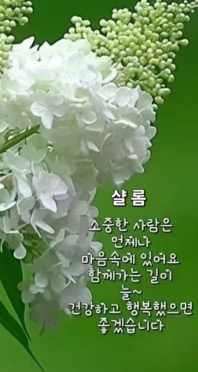 샬롬 이미지