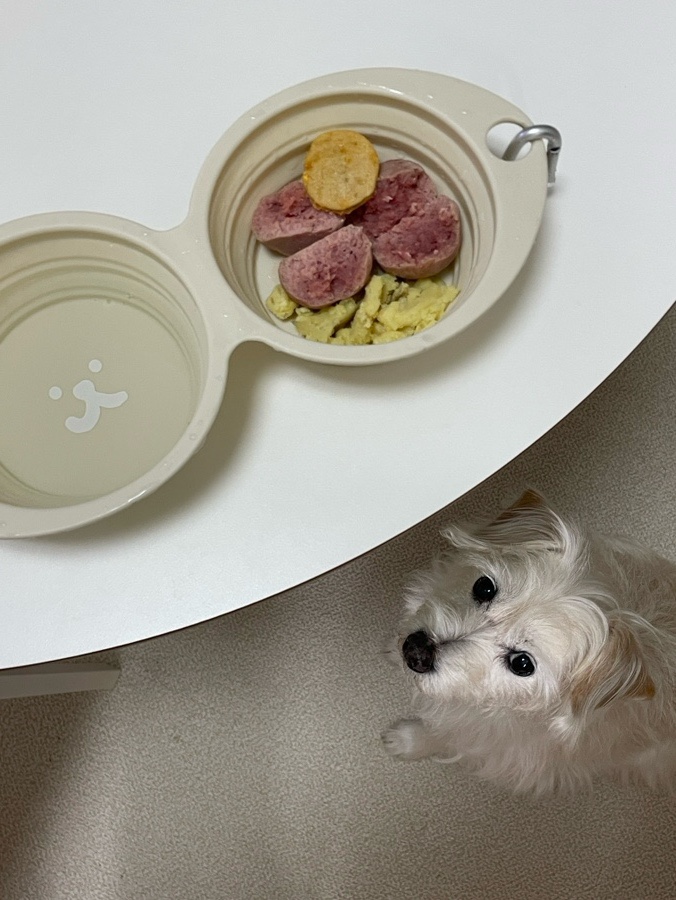 널독(NERDOG) 이미지