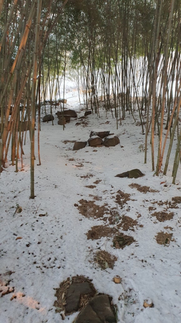 산촌교육마을단비사회적협동조합 이미지