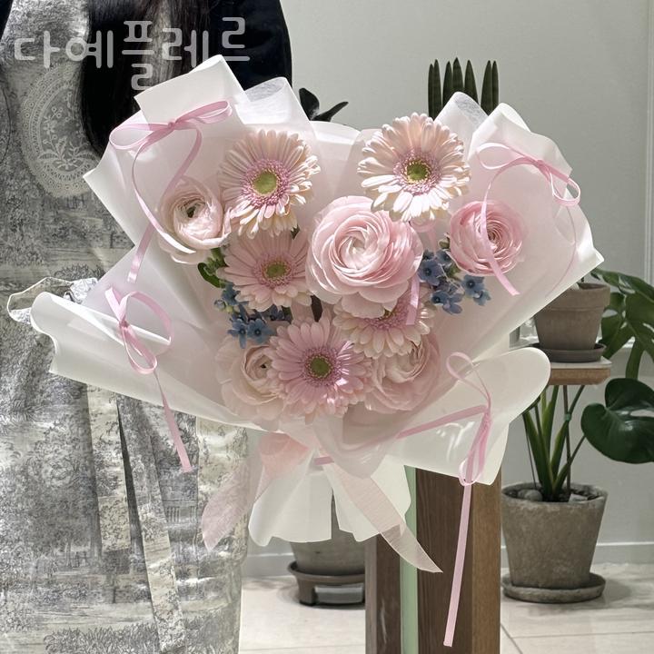 다예플레르 이미지