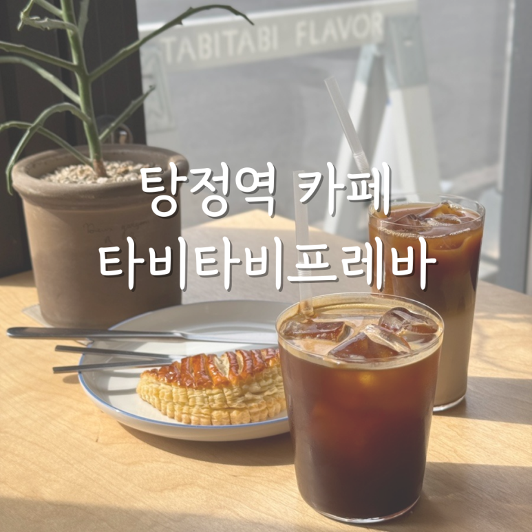 타비타비프레바 이미지