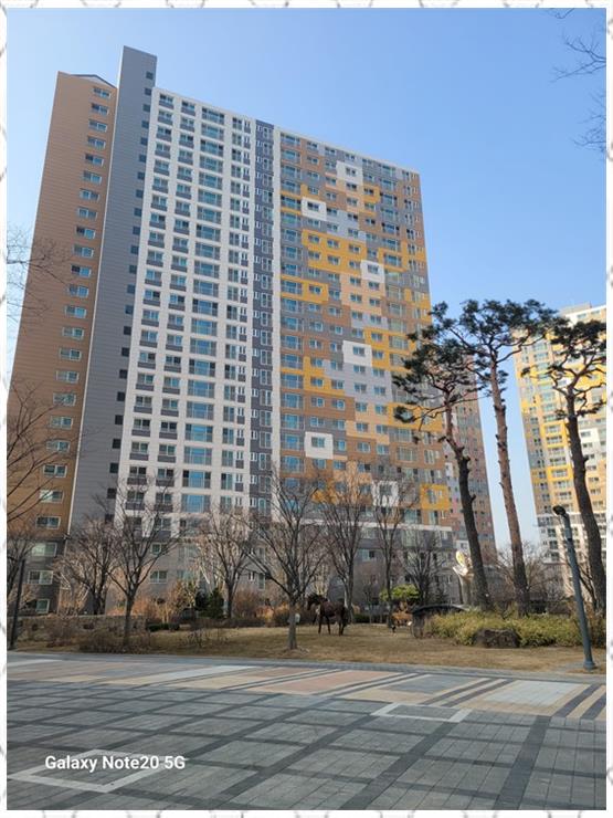 모아랜드 이미지