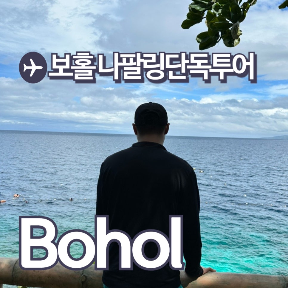 로나투어 이미지