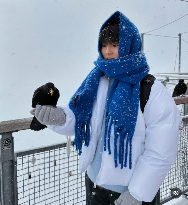 찬영 이미지
