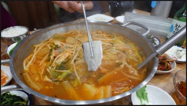 제주복어 이미지