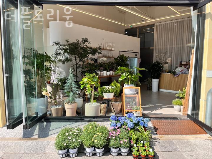 플로리움 이미지