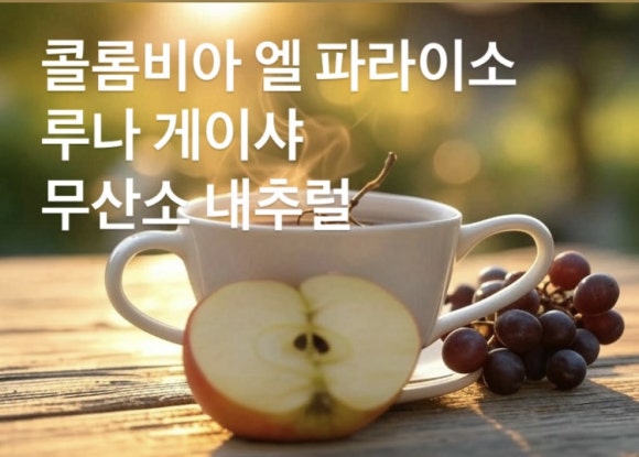 루나웍스 이미지