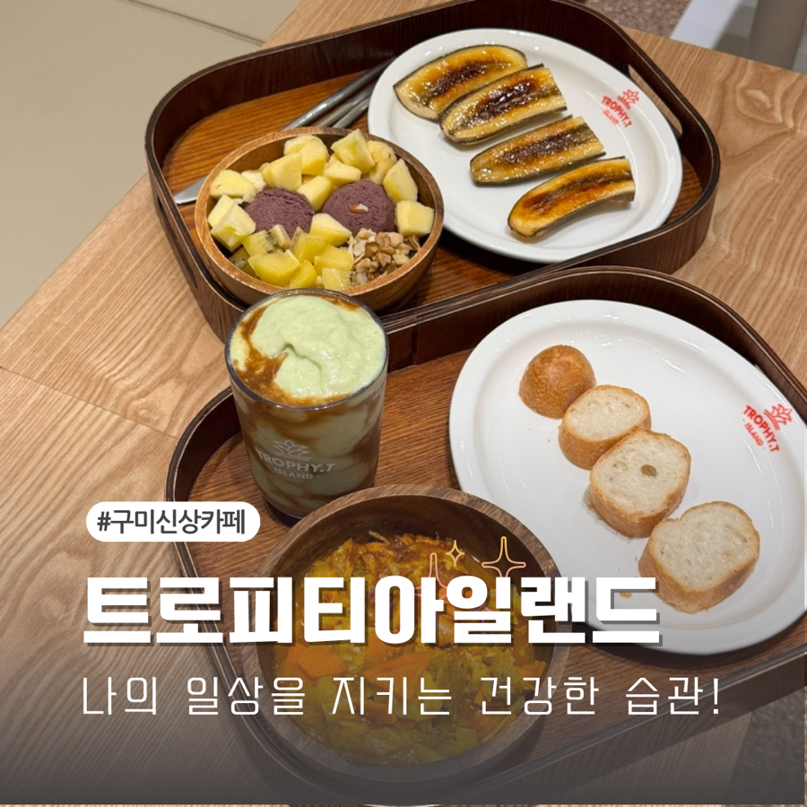 트로피티아일랜드대구 이미지