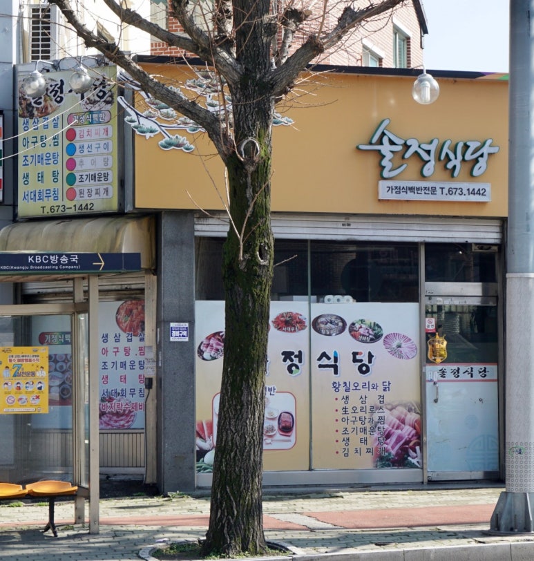 솔정 이미지
