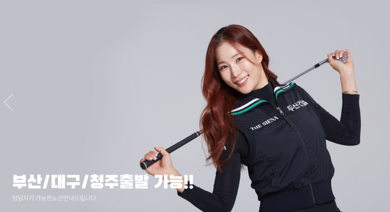필굿투어앤골프 이미지
