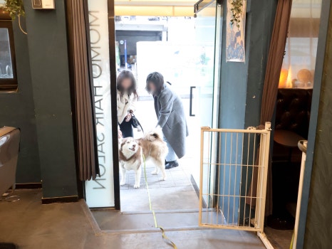 숙희헤어 이미지