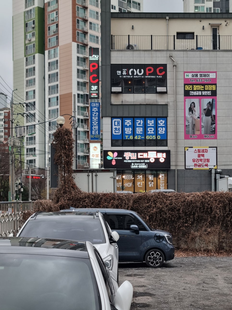 똥집대통령 이미지