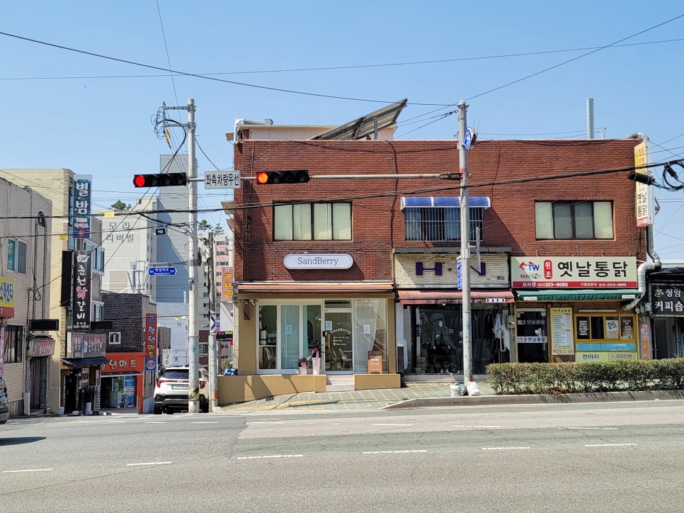 샌드베리 이미지