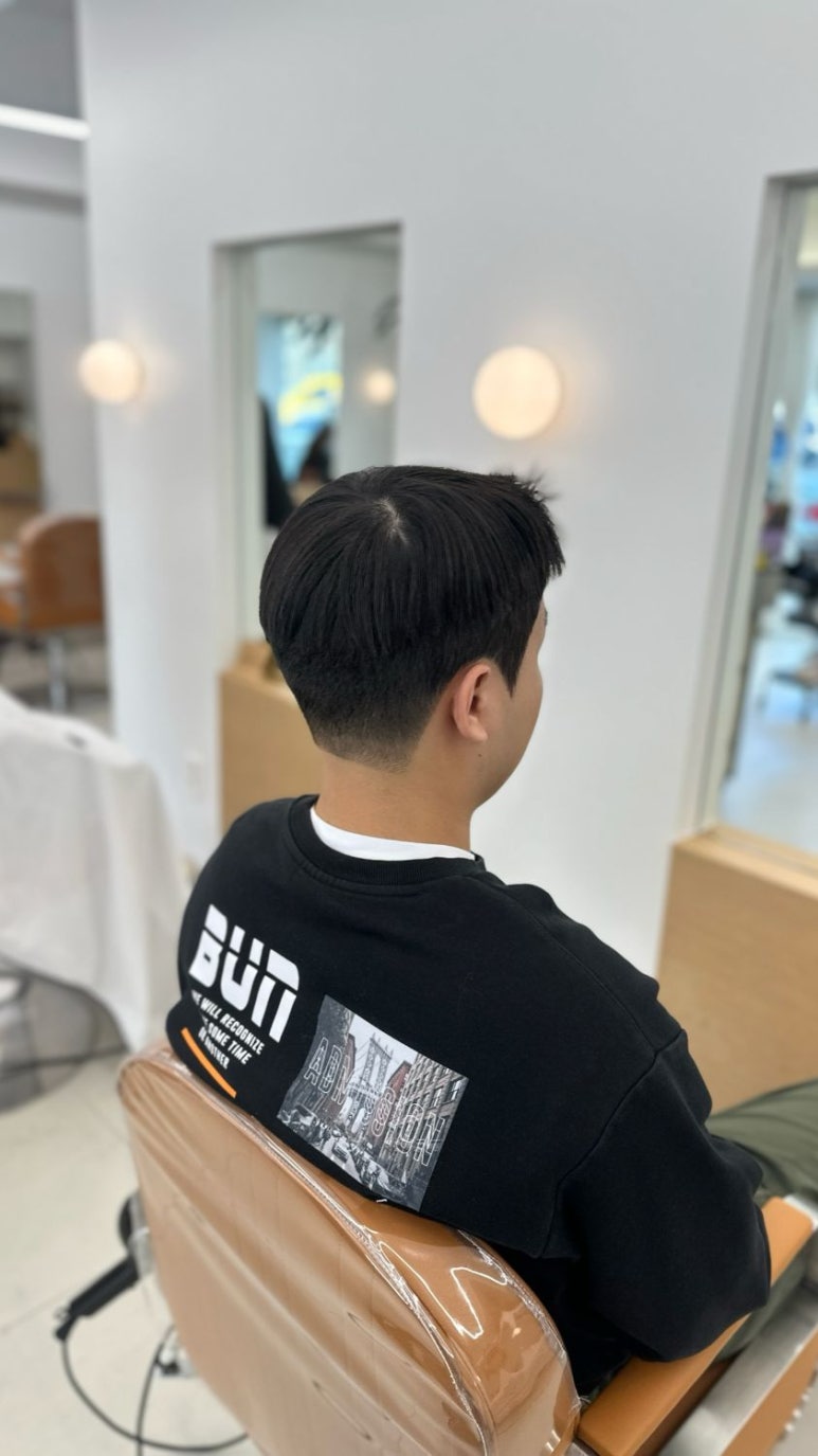 파슈헤어 이미지