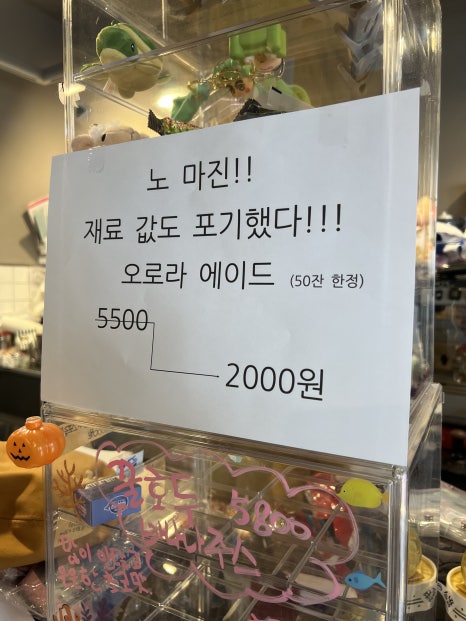 달빛 거북이 이미지