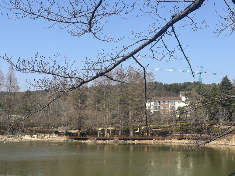 그루상조 이미지