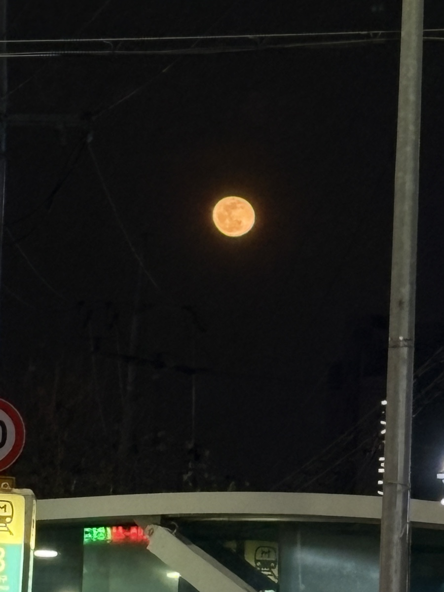 타코야오 이미지