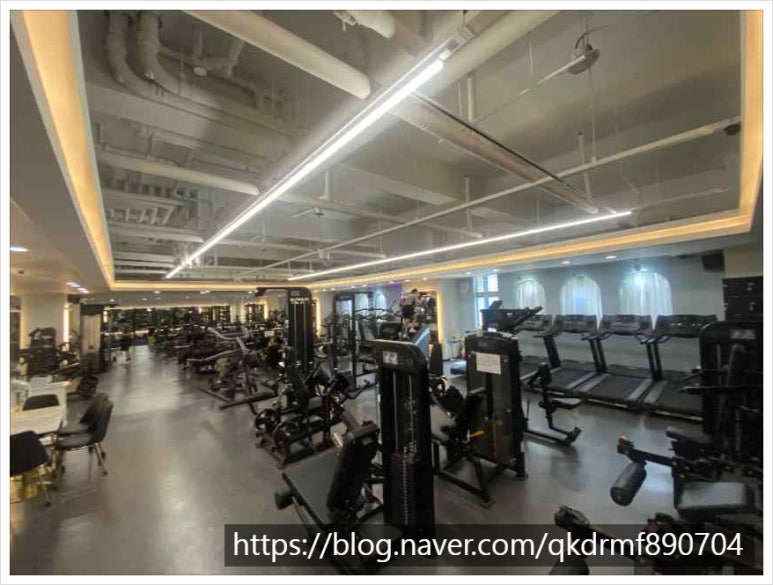 건강해GYM 이미지
