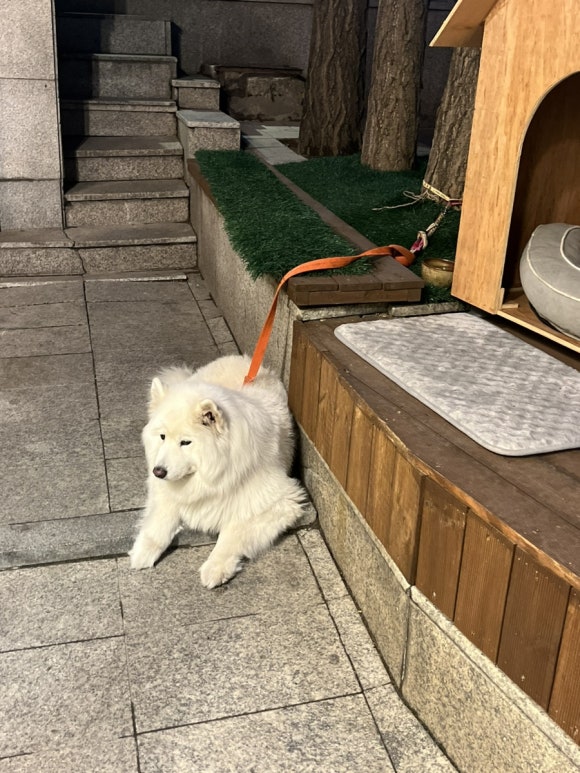장미전통찻집 이미지