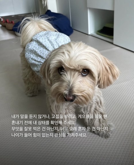 성수 이미지