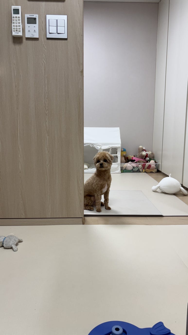 은솔하우스 이미지