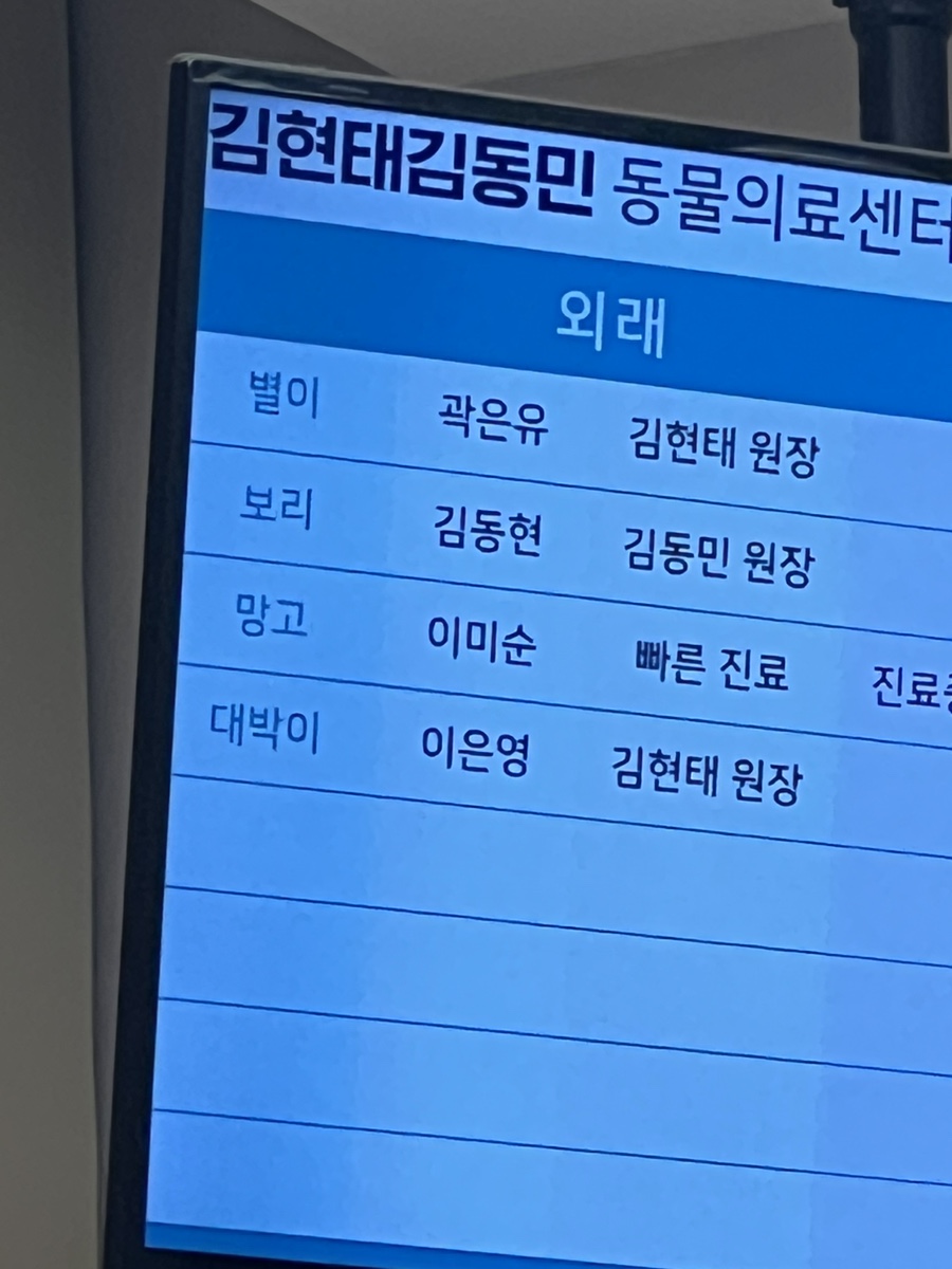 복대박 이미지