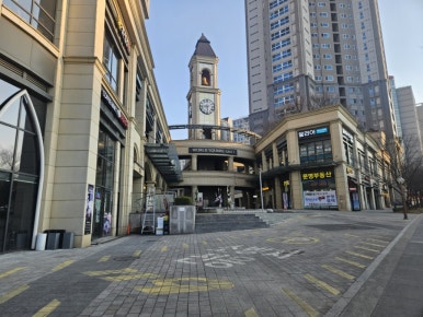 도노포레스타 이미지