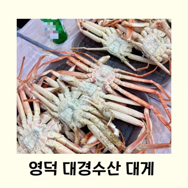 대경수산 이미지