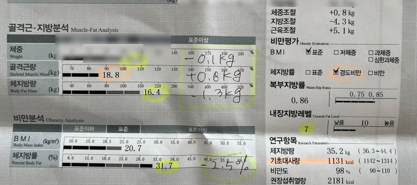셀포랩스타 이미지