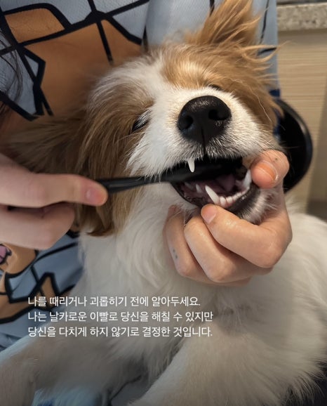 성수 이미지
