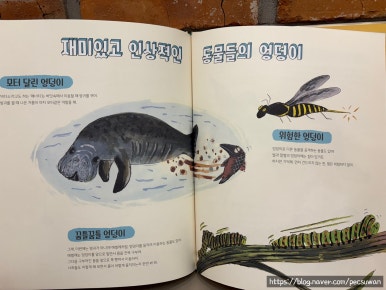 하늘을나는그림책학원 이미지