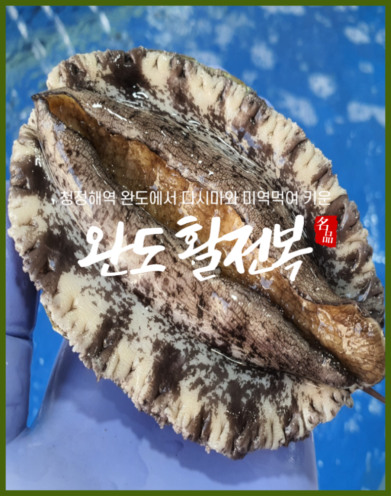 싱싱씨푸드 이미지
