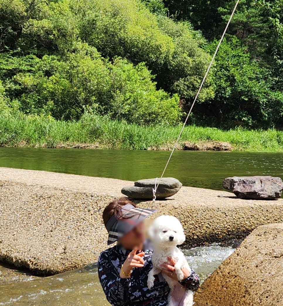 행복이넘치는강펜션 이미지