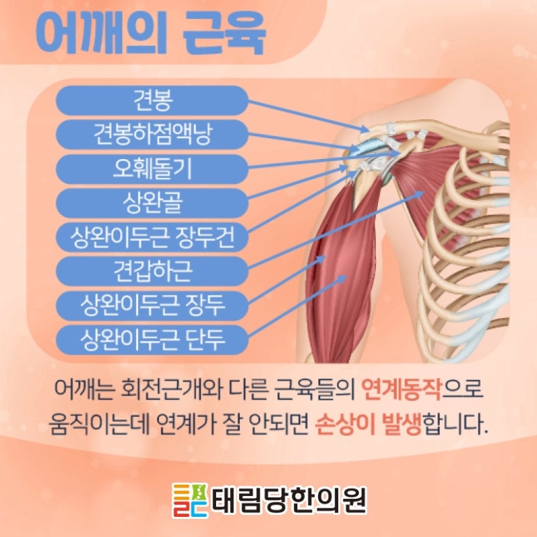 태림당한의원 이미지