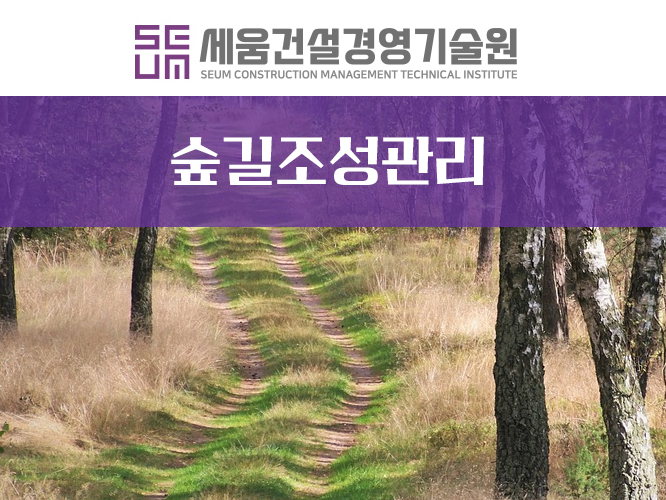 숲길법인 이미지