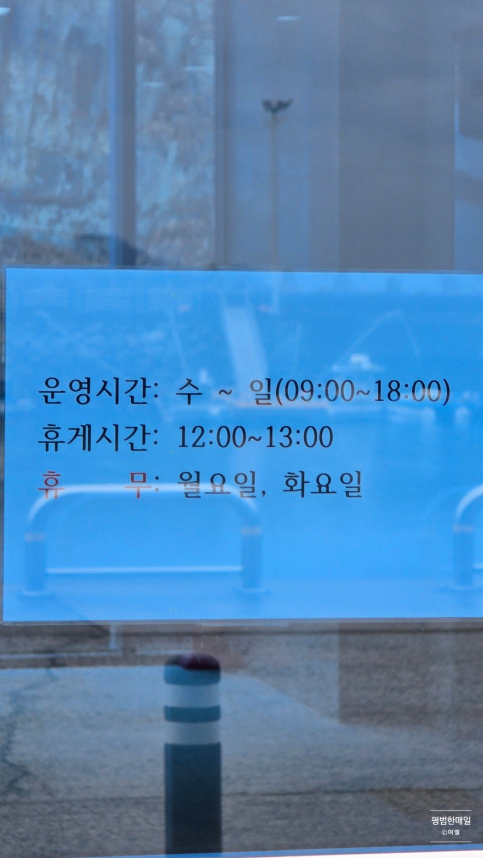 다이노 미디어 이미지