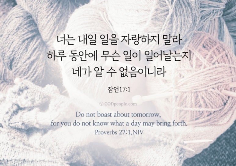 둘자네 이미지