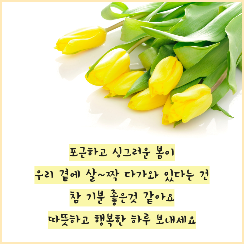 정원텔레콤 이미지