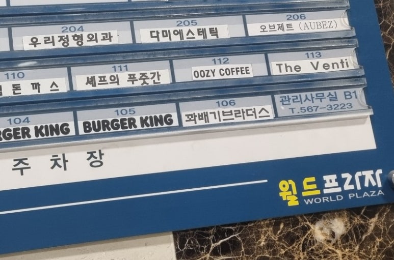 다미에스테틱 이미지
