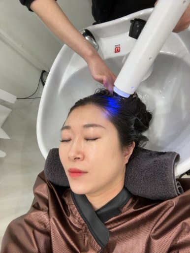 도노포레스타 이미지