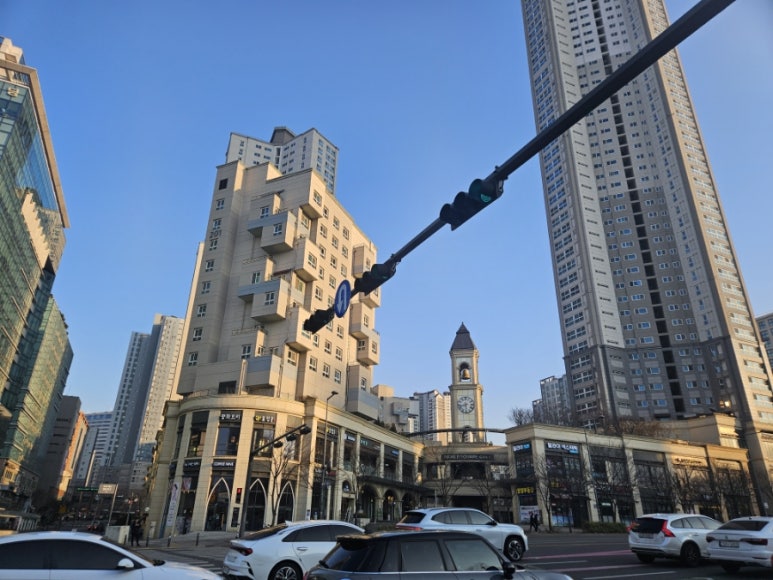 도노포레스타 이미지