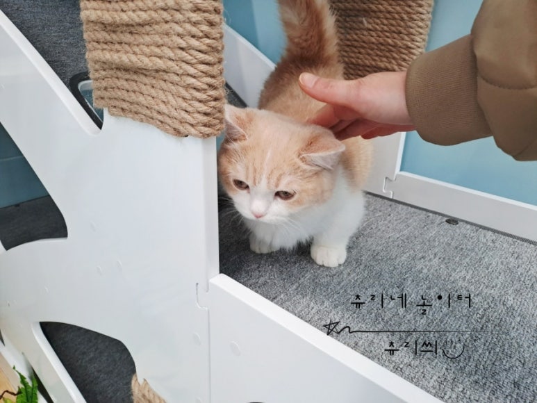 아스클레페이온의원 이미지
