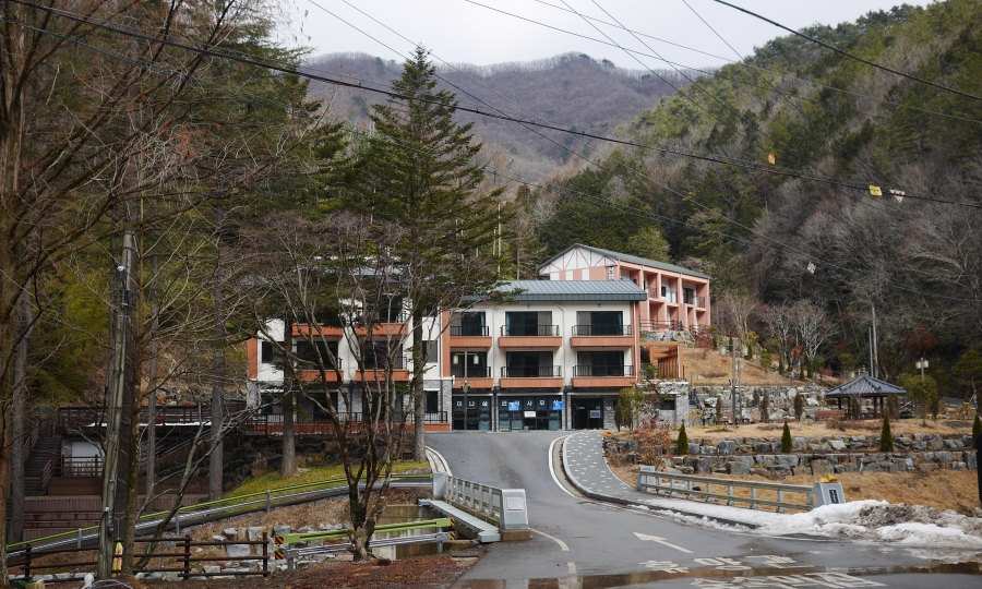성수산 왕의숲 자연휴양림 이미지
