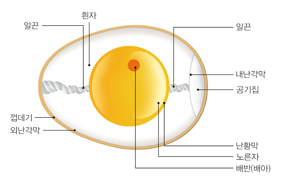 옷니엘팜 이미지